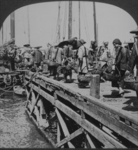 Coolies Carrying Filled Baskets on Docks, Hong Kong, Single Image of Stereo Card, 1910