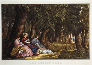 Three Women Sitting Under Large Trees, The Sunset Tree, Lithograph, Currier & Ives, 1860's