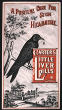 Bird on Branch Holding Sign, Carter's Little Liver Pills, Trade Card, circa 1900