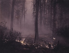 Forest Fire, circa 1909