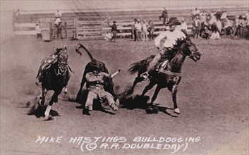 Rodeo Rider Mike Hastings Bulldogging a Steer, circa 1919