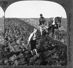 Farmer and Child in Field with Horse-Drawn Plow, Russia, Single Image of Stereo Card, circa 1900