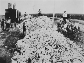 Group of People Standing Near large Pile of Buffalo Bones Along Railroad Tracks, USA, circa 1884