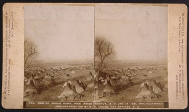 Oglala Dakota Camp, Pine Ridge Reservation, South Dakota, USA, W.R. Cross, Stereo Card, 1891