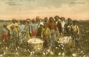 Group of African-American Cotton Pickers in Field, Portrait, Pinehurst, North Carolina, USA, Hand-Colored Postcard, 1912