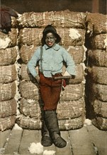 African-American Boy Standing Against Bales of Cotton, " I Wasn't Born to Labor, Detroit Publishing Company, Hand-Colored Postcard, circa 1910