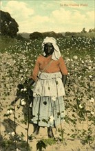 African-American Female Cotton Picker in Field, USA, Hand-Colored Postcard, circa 1910