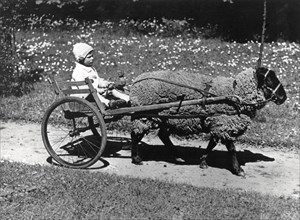 Young Child in Cart Pulled by Ram, 1935
