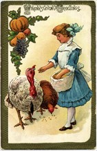 Girl Feeding Turkeys, "Thanksgiving Greetings", Postcard