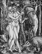 Adam and Eve, "The Fall of Man", Engraving by Albrecht Durer, 1510