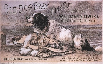 Dog Saving Drowning Child, "Old Dog Tray Fine Cut" Wellman & Dwire Tobacco Co., Trade Card, circa 1885
