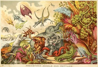 Prehistoric Animals and Reptiles, Avil Co. Lith. Phila., 1889