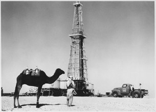 Man and Camel near Oil Well, Saudi Arabia, circa 1940's