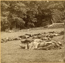 “Union Dead at Gettysburg.” #245, American Civil War, Single image of Stereo Card, circa 1863