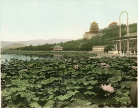 Lily Pond, Summer Palace, Beijing, China, circa 1930