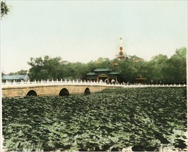 Lily Pond, Winter Palace, Beihei Park, Beijing, China, circa 1930