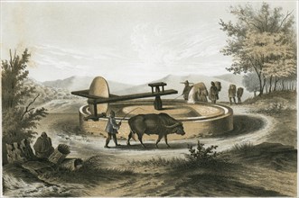 Chinese Apparatus for Grinding Beans, Bones and Other Substances, Chromolithograph, circa 1860