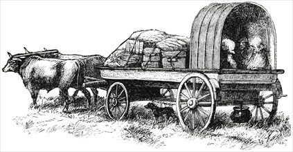 Wagon of the Boers in Kaffraria, South Africa, "Classical Portfolio of Primitive Carriers", by Marshall M. Kirman, World Railway Publ. Co., Illustration, 1895