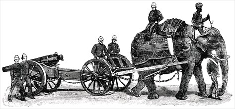 Elephant Carrying Cannon During War, Afghanistan, "Classical Portfolio of Primitive Carriers", by Marshall M. Kirman, World Railway Publ. Co., Illustration, 1895