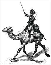 Soldier on Camel, Afghanistan, "Classical Portfolio of Primitive Carriers", by Marshall M. Kirman, World Railway Publ. Co., Illustration, 1895