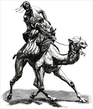 Mail Carrier on Camel, Syria, "Classical Portfolio of Primitive Carriers", by Marshall M. Kirman, World Railway Publ. Co., Illustration, 1895