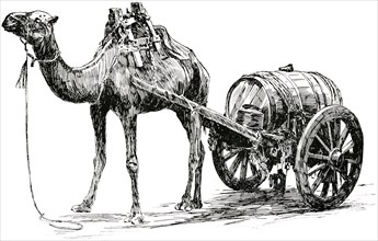 Camel with Water Cart, Aden, Arabia, "Classical Portfolio of Primitive Carriers", by Marshall M. Kirman, World Railway Publ. Co., Illustration, 1895