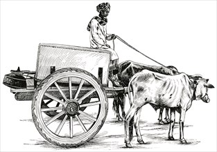 Arab Driving Ox-Cart, Oman, Arabia, "Classical Portfolio of Primitive Carriers", by Marshall M. Kirman, World Railway Publ. Co., Illustration, 1895