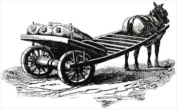 Horse-Drawn Yarmouth Cart, England, "Classical Portfolio of Primitive Carriers", by Marshall M. Kirman, World Railway Publ. Co., Illustration, 1895