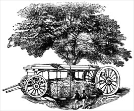 Moving a Tree in Regent’s Park, London, England, "Classical Portfolio of Primitive Carriers", by Marshall M. Kirman, World Railway Publ. Co., Illustration, 1895
