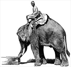 Elephant Pushing Timber, Rangoon, Burma, "Classical Portfolio of Primitive Carriers", by Marshall M. Kirman, World Railway Publ. Co., Illustration, 1895