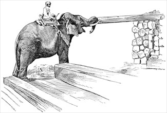 Elephant Completing Work of Piling Timber, Rangoon, Burma, "Classical Portfolio of Primitive Carriers", by Marshall M. Kirman, World Railway Publ. Co., Illustration, 1895