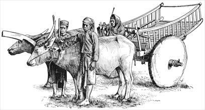 Ox-Cart, Burma, "Classical Portfolio of Primitive Carriers", by Marshall M. Kirman, World Railway Publ. Co., Illustration, 1895