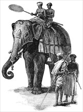 Elephant Carrying Dignitary, Ceylon, "Classical Portfolio of Primitive Carriers", by Marshall M. Kirman, World Railway Publ. Co., Illustration, 1895