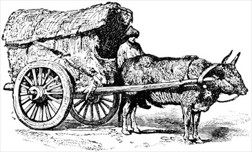 Mongolian Wagon, China, "Classical Portfolio of Primitive Carriers", by Marshall M. Kirman, World Railway Publ. Co., Illustration, 1895