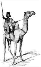 Sudanese Warrior on Camel, Sudan, "Classical Portfolio of Primitive Carriers", by Marshall M. Kirman, World Railway Publ. Co., Illustration, 1895