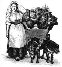 Woman with Rural Carriage Pulled by Two Dogs, Holland, "Classical Portfolio of Primitive Carriers", by Marshall M. Kirman, World Railway Publ. Co., Illustration, 1895