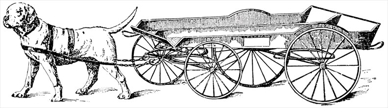 Dog Pulling Cart, Germany, "Classical Portfolio of Primitive Carriers", by Marshall M. Kirman, World Railway Publ. Co., Illustration, 1895