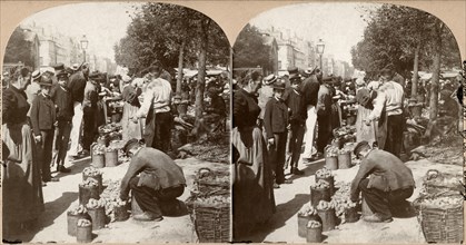 Market Place, Versailles, France, by B.L. Lingley, Keystone View Company, Stereo Card, 1897