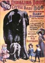 Ringling Bros. Little Baby "Boo" Elephant, Circus Poster, circa 1903