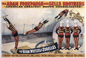 The Adam Forepaugh and Sells Brothers, America's Greatest Shows Consolidated, The Ryan, Weitzel and Zorella's, Circus Poster, circa 1896