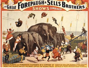 The Great Forepaugh and Sells Brothers Shows Combined, Terrific Flights over Ponderous Elephants by a Company of Twenty Five Artists, Circus Poster, circa 1899