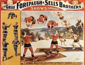 The Great Forepaugh and Sells Brothers Shows Combined, The 5 Famous Millettes, Pre-Eminent Acrobatic Marvels, Circus Poster, circa 1899