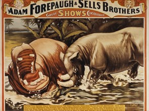 Adam Forepaugh and Sells Brothers Great Shows Consolidated, Hippopotamus and Two Horned East Indian Rhinoceros, Circus Poster, circa 1900