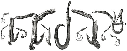 Fish Hooks Made from Shells and Bones, Polynesia, Illustration, 1885