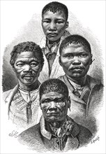 Bushmen, Cape Town Africa, Illustration, 1885