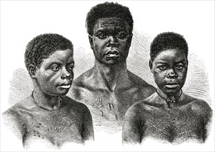 Portrait of Man and Two Women from Loango Coast, Africa, Illustration, 1885