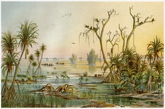 Lagoon, North Loango, West Africa, Illustration, 1885