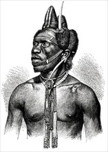 Pondo Warrior, Africa, Illustration, 1885