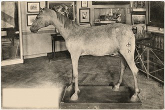 Vizir, Arabian Horse owned by Napoleon Bonaparte, Hotel des Invalides, Paris, France,