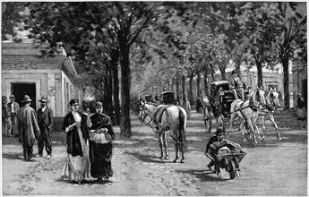 Calle General San Martin, Buenos Aires, Argentina, Harper's New Monthly Magazine, Illustration, 1891